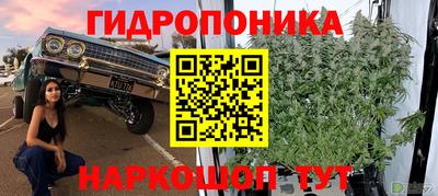 дмт Владикавказ
