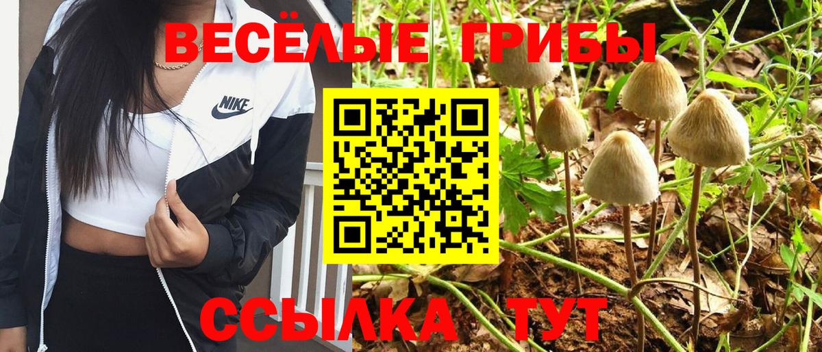 Галлюциногенные грибы мицелий  Вход с VPN  Ипатово 
